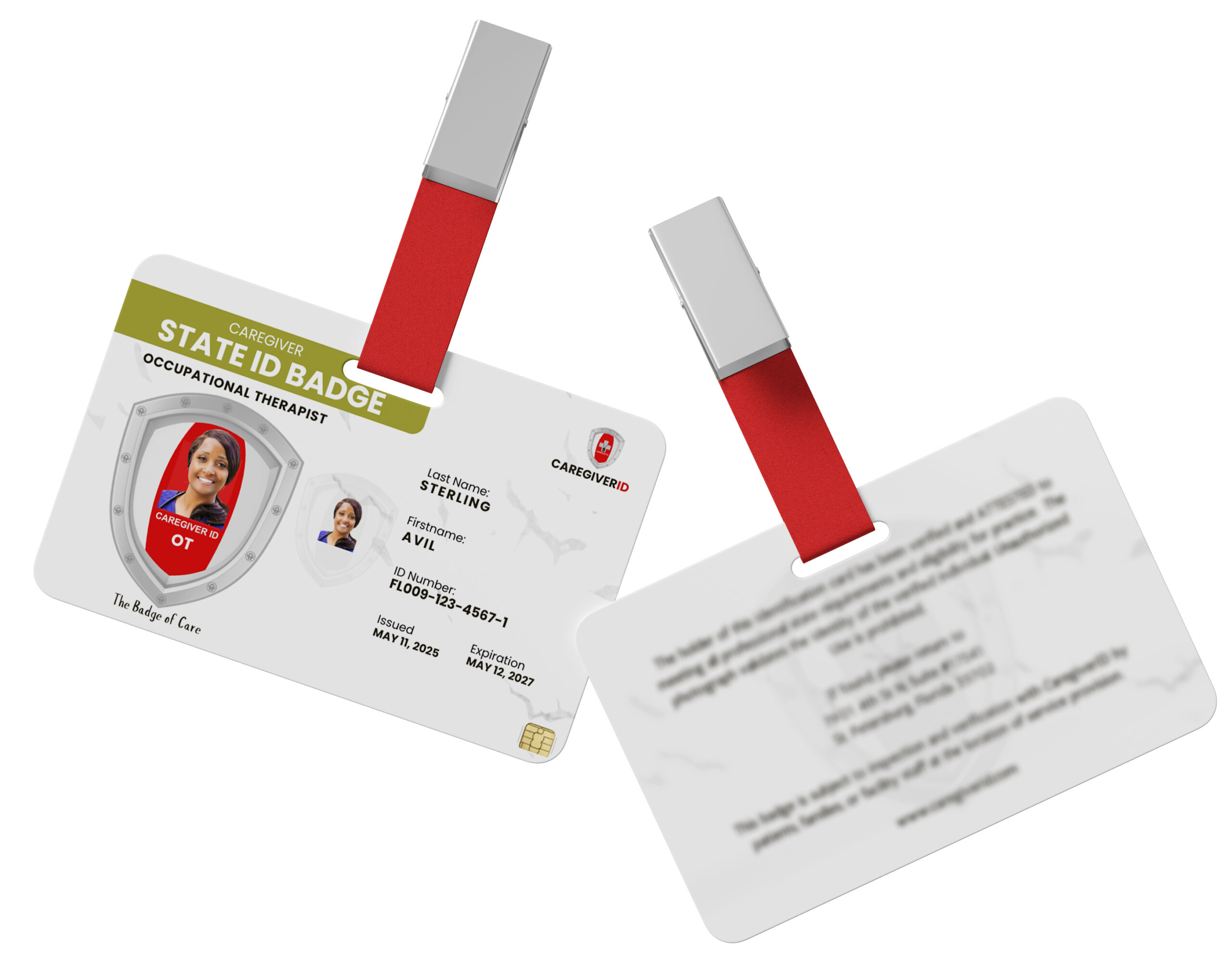 Occupational Therapist (OT)